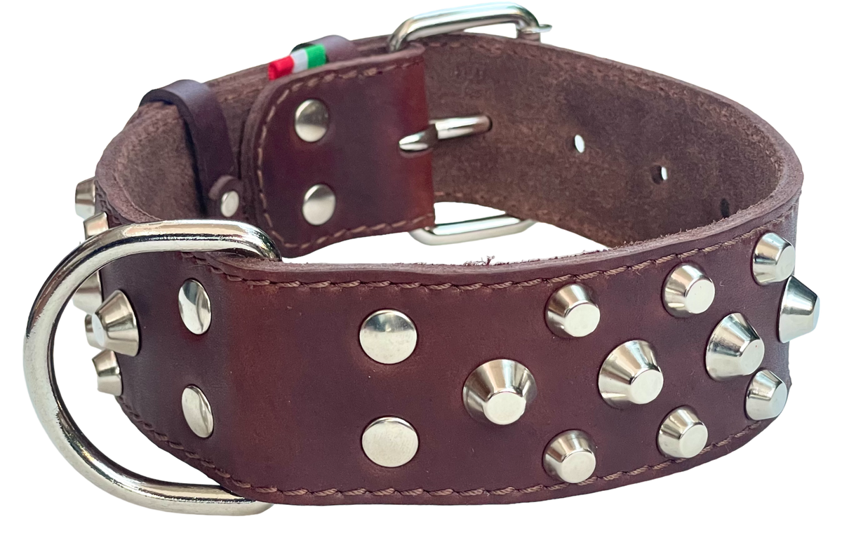 Nobleza Collare Con Borchie Cane Taglia L | A Tutta Zampa - Foto 3